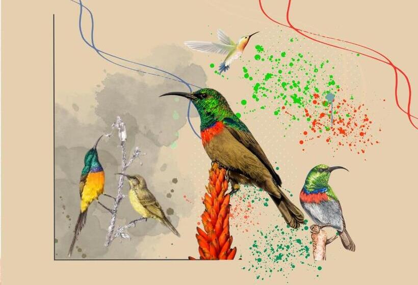 צימר Kruger Allo Escape