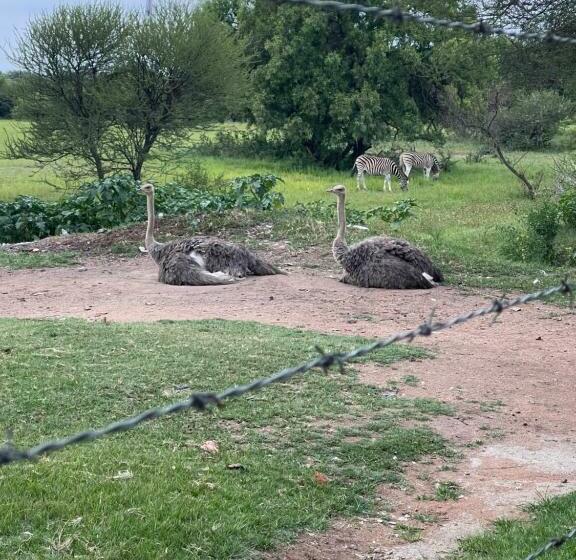 Pension Kings View Exclusive Villas