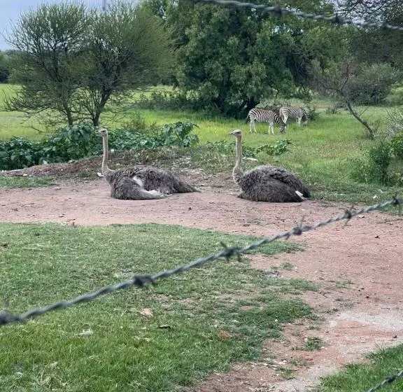 Majatalo Kings View Exclusive Villas