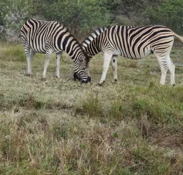 Pension Kings View Exclusive Villas