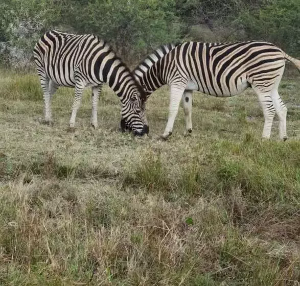 Majatalo Kings View Exclusive Villas