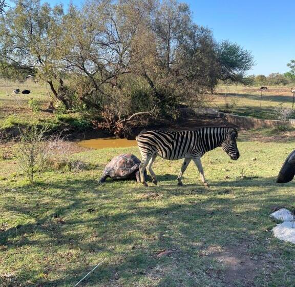 Pension Kings View Exclusive Villas