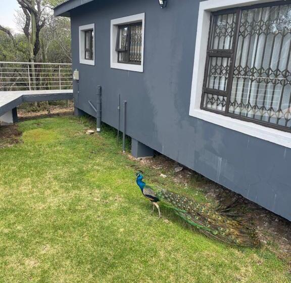 Pension Kings View Exclusive Villas