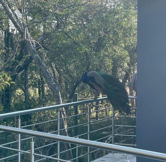 Pension Kings View Exclusive Villas