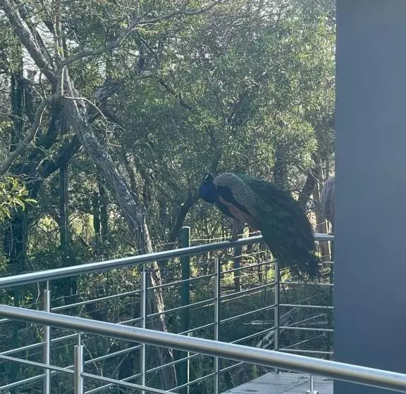 Majatalo Kings View Exclusive Villas