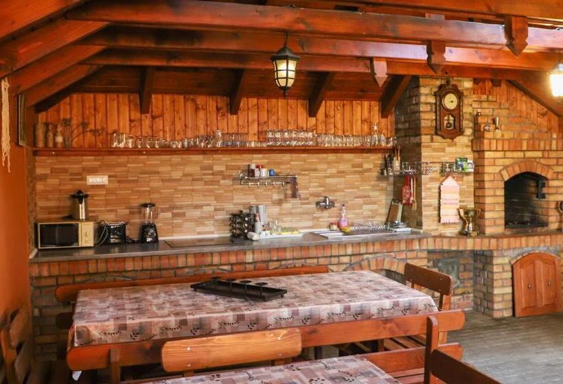 Camera 3   Pensiunea Panorama