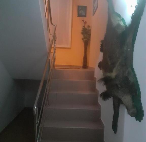 پانسیون Casa Roman