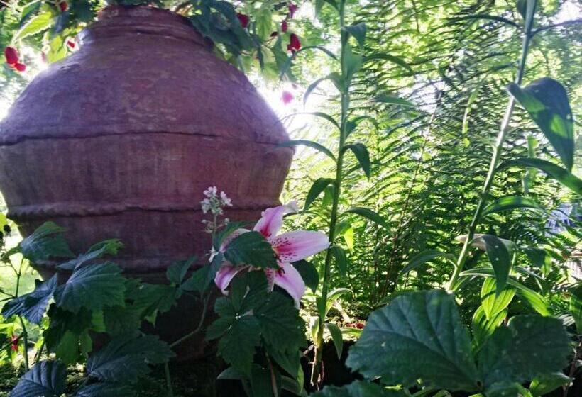 Pensionat Maison De Caractère Avec Tennis, Cheminée Et Recharge électrique   Aydoilles, Près D épinal   Fr 1 5