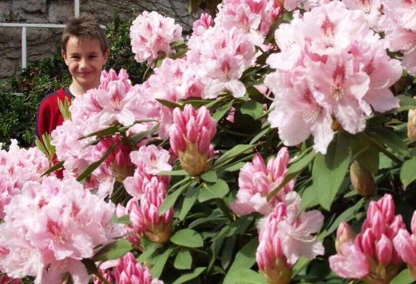 Pensionat Maison De Caractère Avec Tennis, Cheminée Et Recharge électrique   Aydoilles, Près D épinal   Fr 1 5