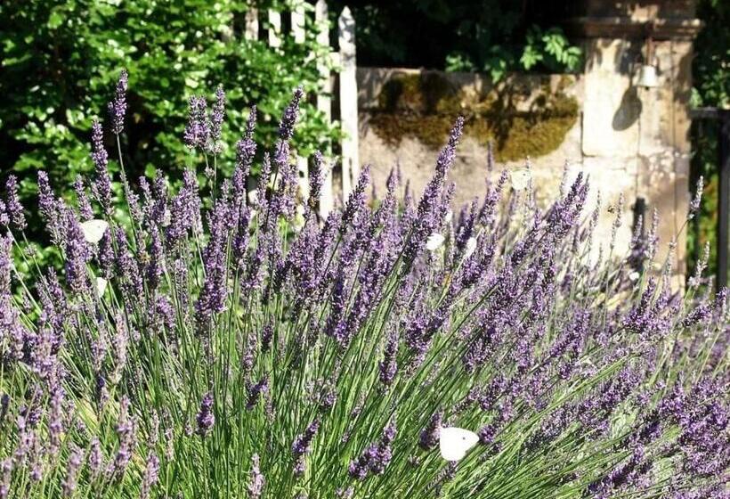 Pensionat Maison De Caractère Avec Tennis, Cheminée Et Recharge électrique   Aydoilles, Près D épinal   Fr 1 5