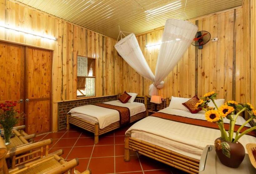 هاستل Hoalu Backpacker Homestay