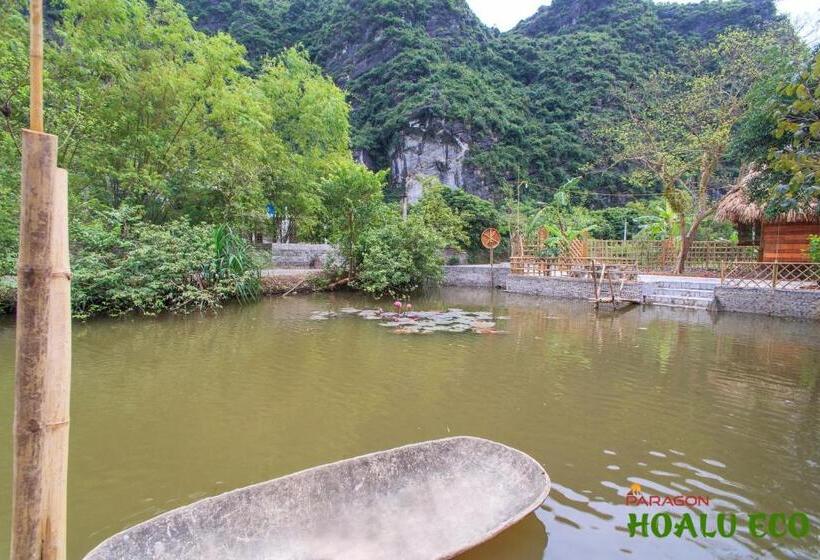 هاستل Hoalu Backpacker Homestay