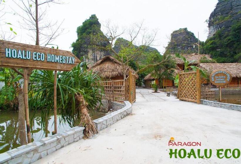 هاستل Hoalu Backpacker Homestay