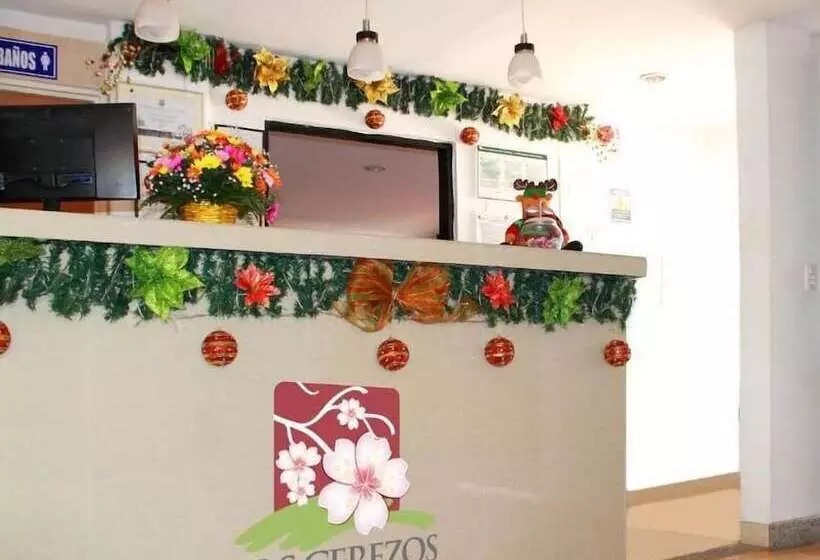 Apartahotel Los Cerezos