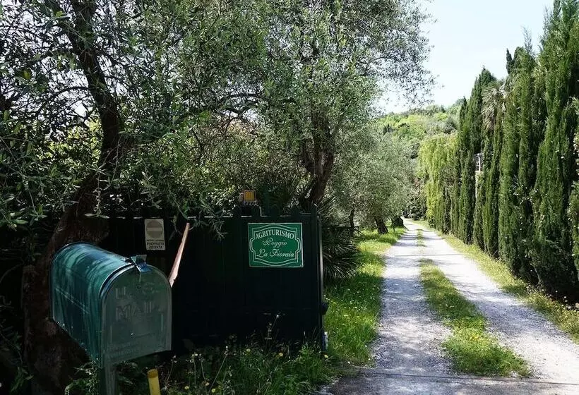 ホテル Agriturismo Poggio La Fioraia
