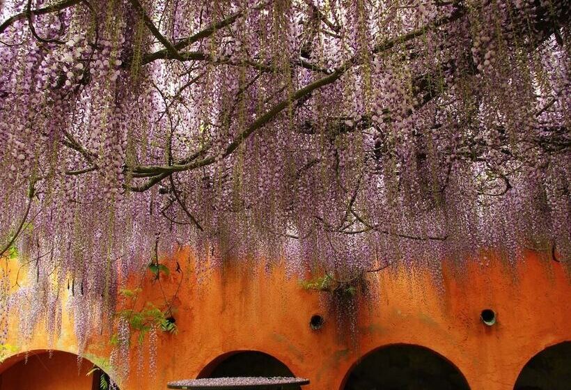 酒店 Agriturismo Poggio La Fioraia