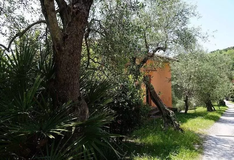 ホテル Agriturismo Poggio La Fioraia