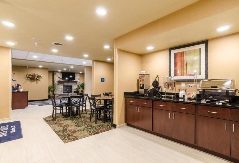 酒店 Cobblestone Inn & Suites Oberlin