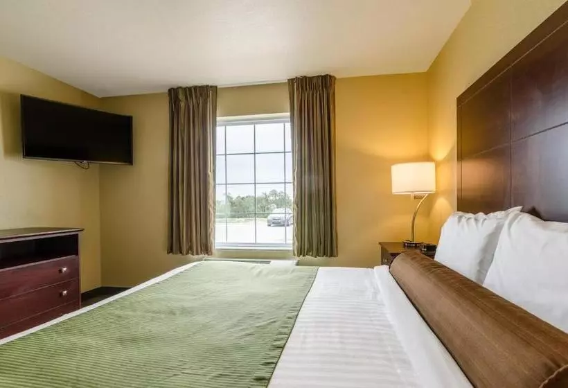 ホテル Cobblestone Inn & Suites  Oberlin