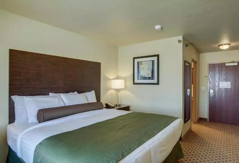 ホテル Cobblestone Inn & Suites  Oberlin