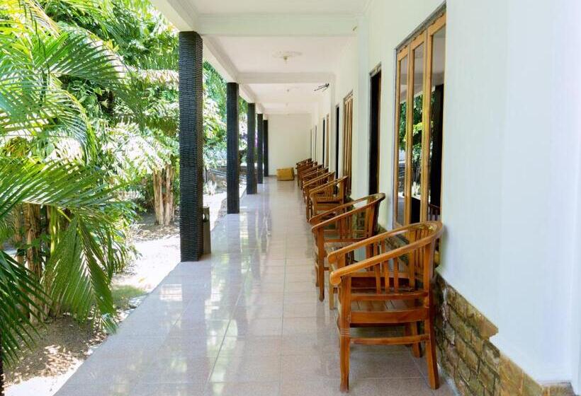 Отель Green Prundi