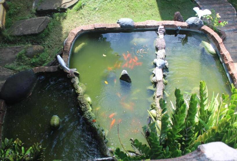 Отель Green Prundi