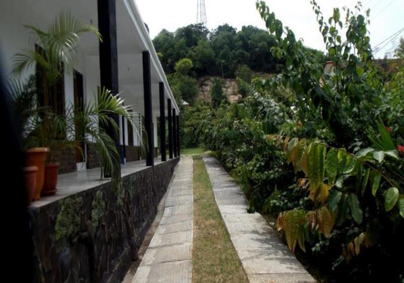 Отель Green Prundi