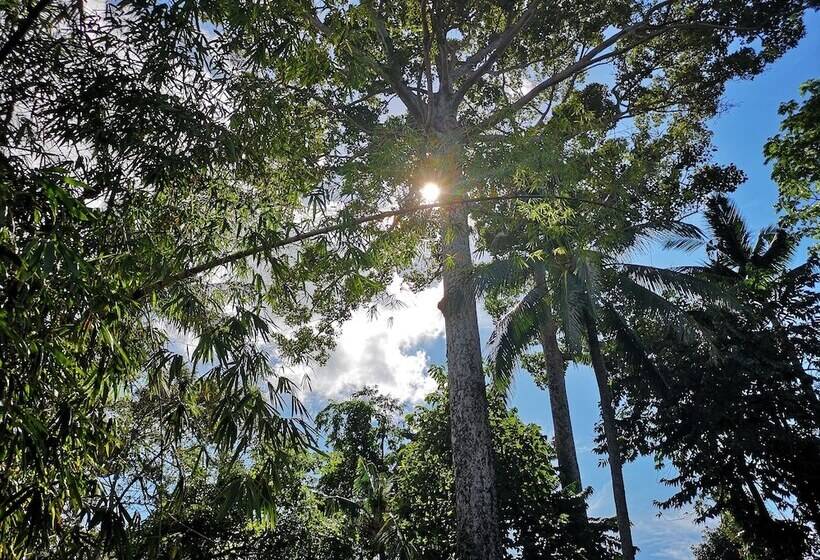 Otel Hacia Leisure Resort