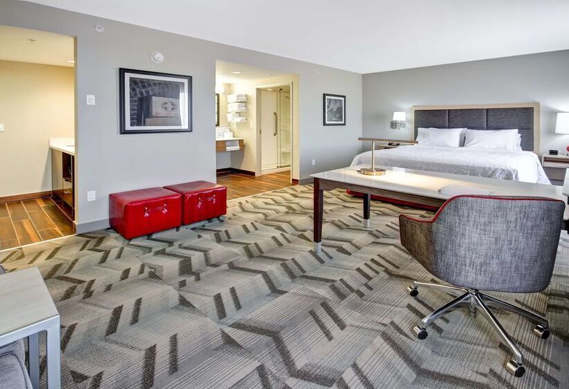 호텔 Hampton Inn & Suites By Hilton Medicine Hat