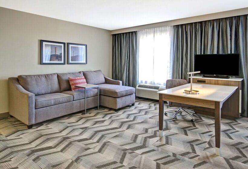 호텔 Hampton Inn & Suites By Hilton Medicine Hat