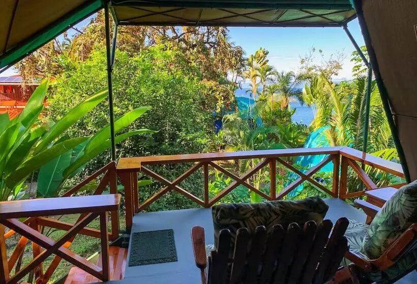 ホテル Las Caletas Lodge