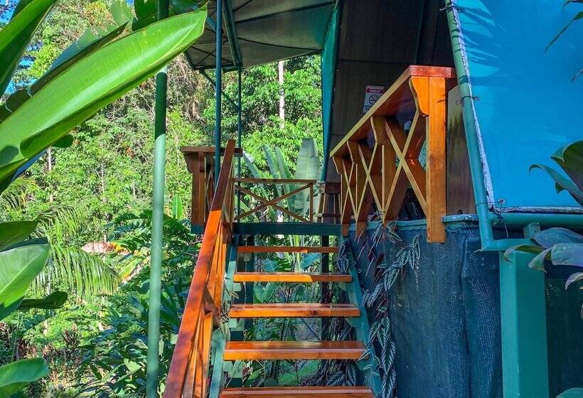 酒店 Las Caletas Lodge