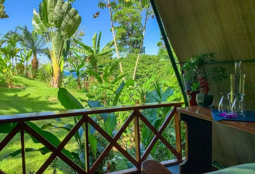 ホテル Las Caletas Lodge