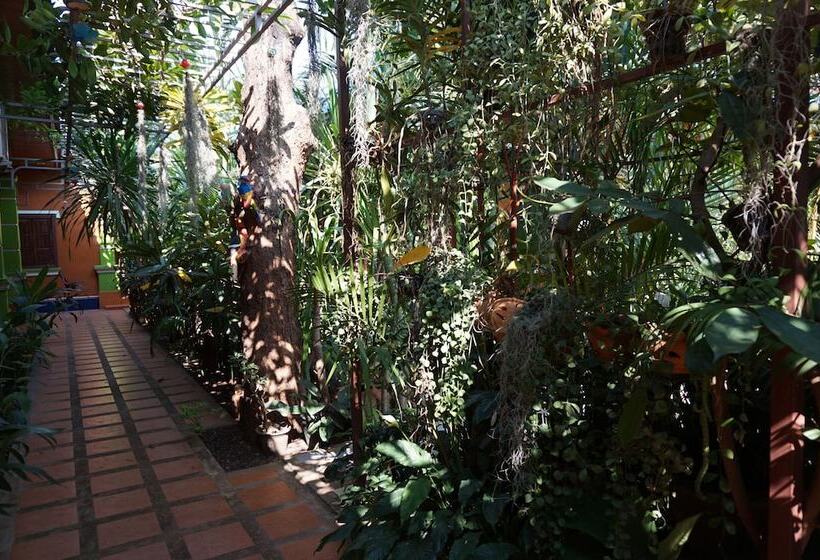 בית מלון כפרי Phetphaylin