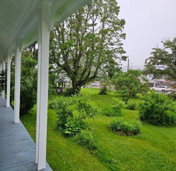 Bed and Breakfast Sunflower Guest Suites