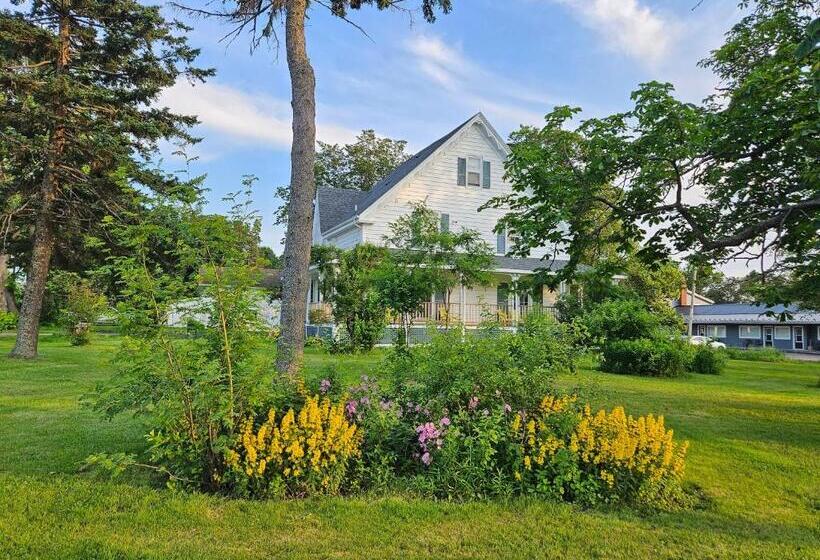 Bed and Breakfast Sunflower Guest Suites