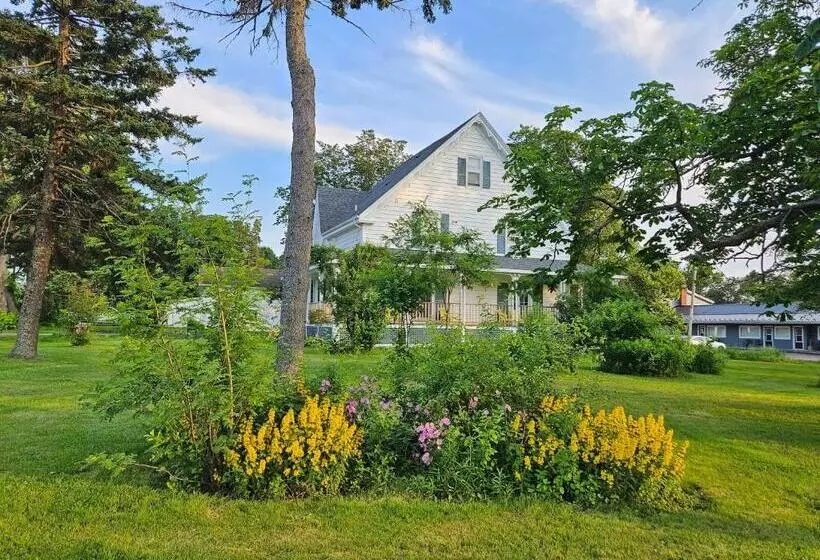 Aamiaismajoitus (B&B) Sunflower Guest Suites