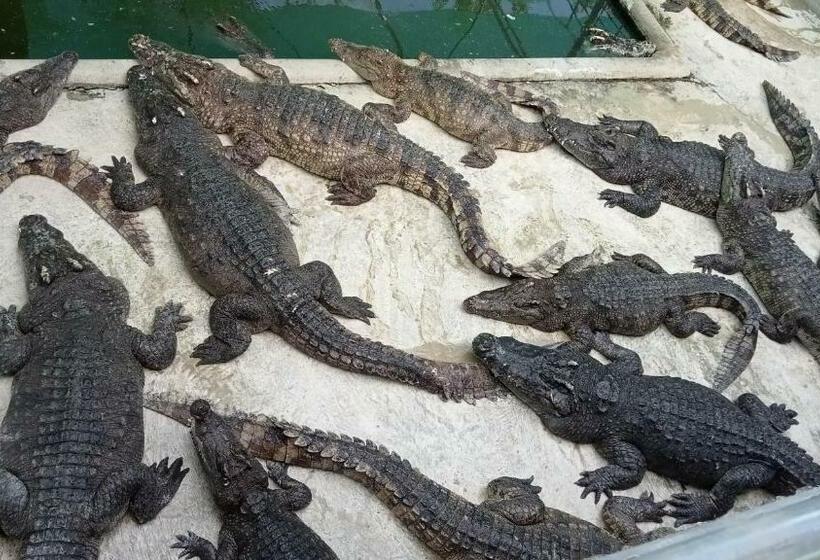 פנסיון Meta Homestay