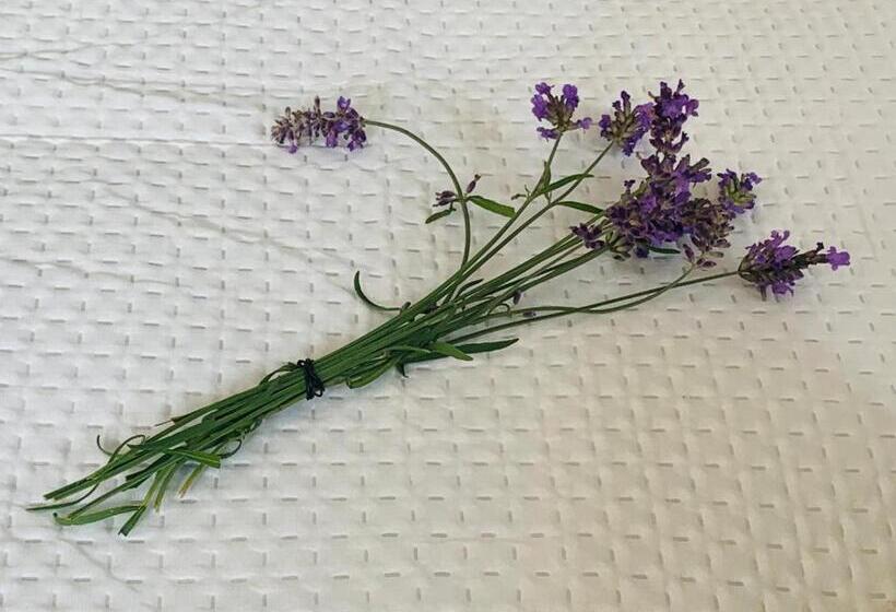 膳宿费 Balsemien Logies