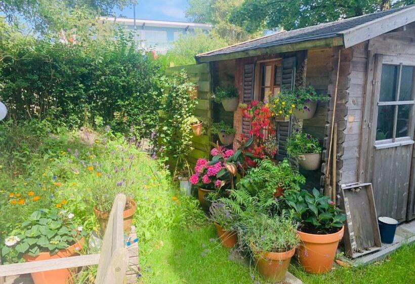 膳宿费 Balsemien Logies