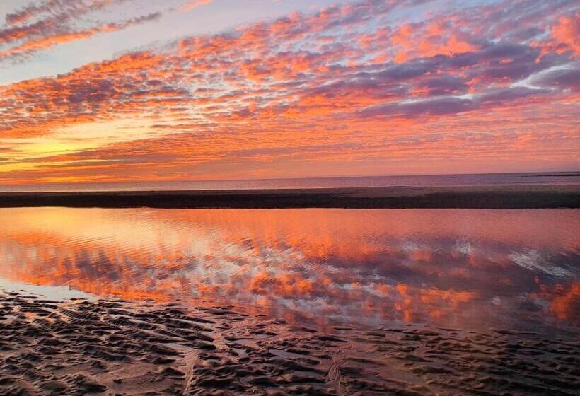 膳宿费 Balsemien Logies