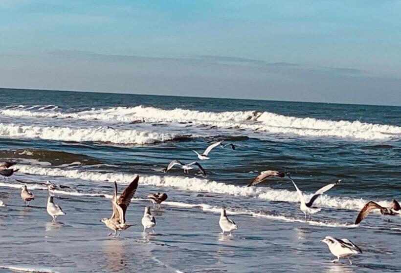 膳宿费 Balsemien Logies