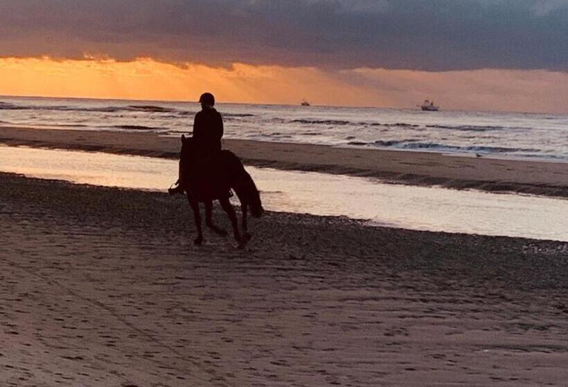 膳宿费 Balsemien Logies