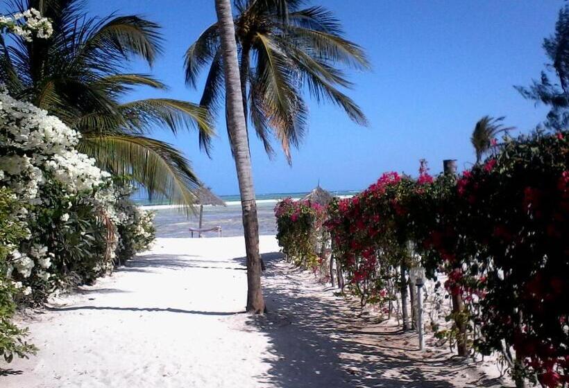 تختخواب و صبحانه Kipepeo Guest House