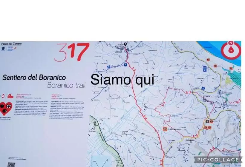 Il Tasso Parco Del Conero