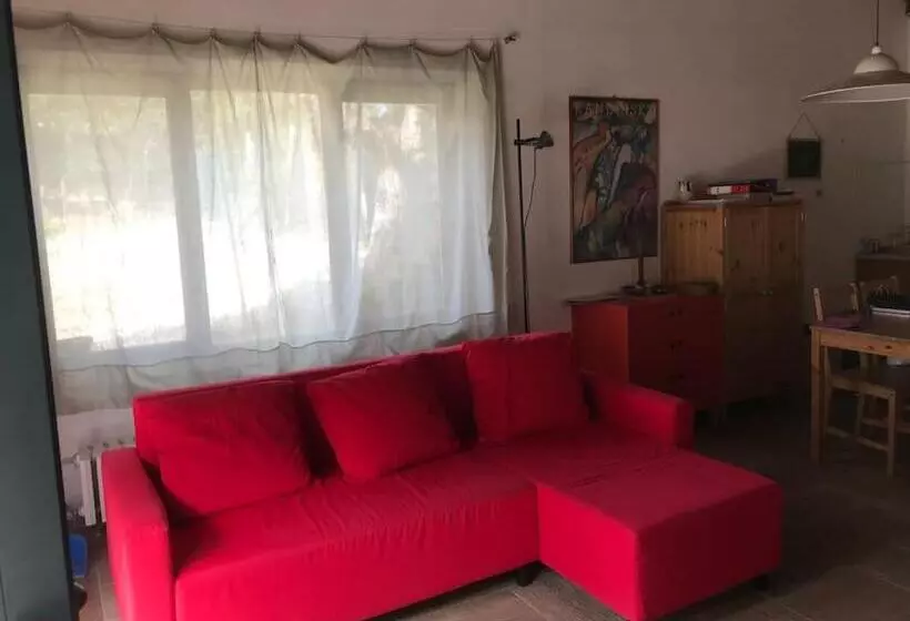 Il Tasso Parco Del Conero