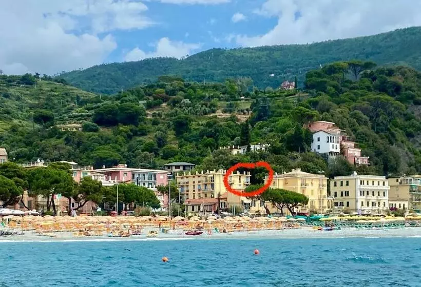 پانسیون Monterosso Rooms