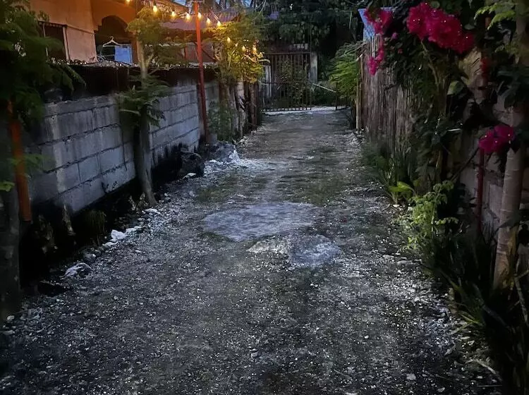 ユースホステル The Backyard Inn