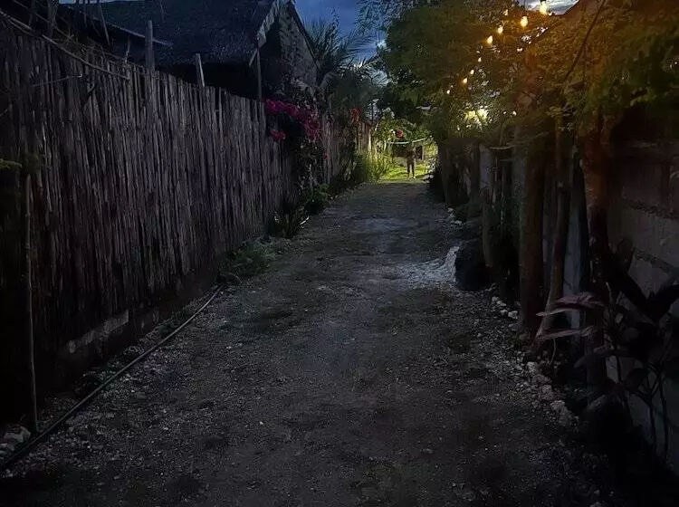 ユースホステル The Backyard Inn