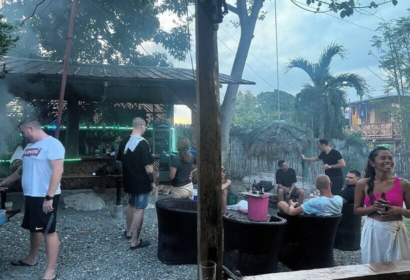 ユースホステル The Backyard Inn